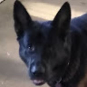 Meet your Posher, Mason